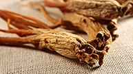 SIBERIAN GINSENG - energy and concentration