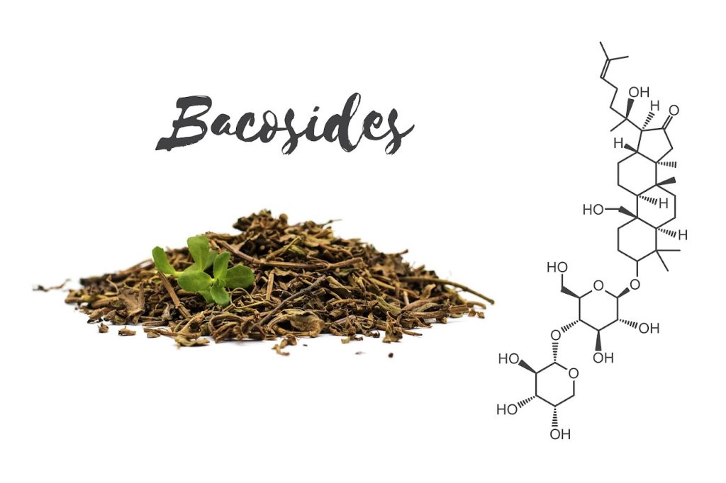 Bacoside, a chemical isolated from brain supplement Bacopa Monnieri